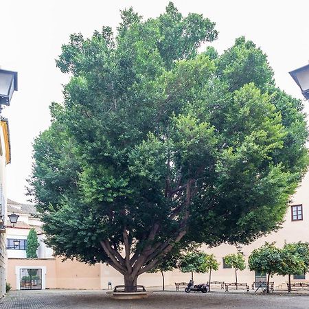 Alohamundi Escuelas Pias Σεβίλλη Εξωτερικό φωτογραφία