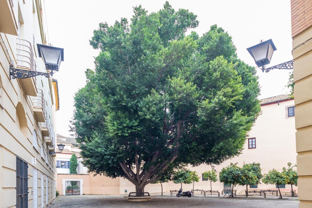 Alohamundi Escuelas Pias Σεβίλλη Εξωτερικό φωτογραφία